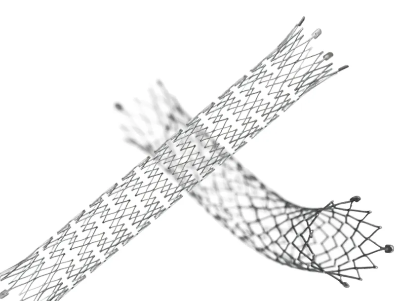 Стент E - Luminexx - ZVL06030