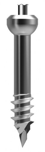 Винт 60-CS-065L